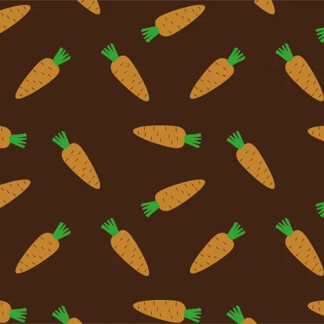 on dark.webp Transfer Sheets; Carrots - Bag of 30